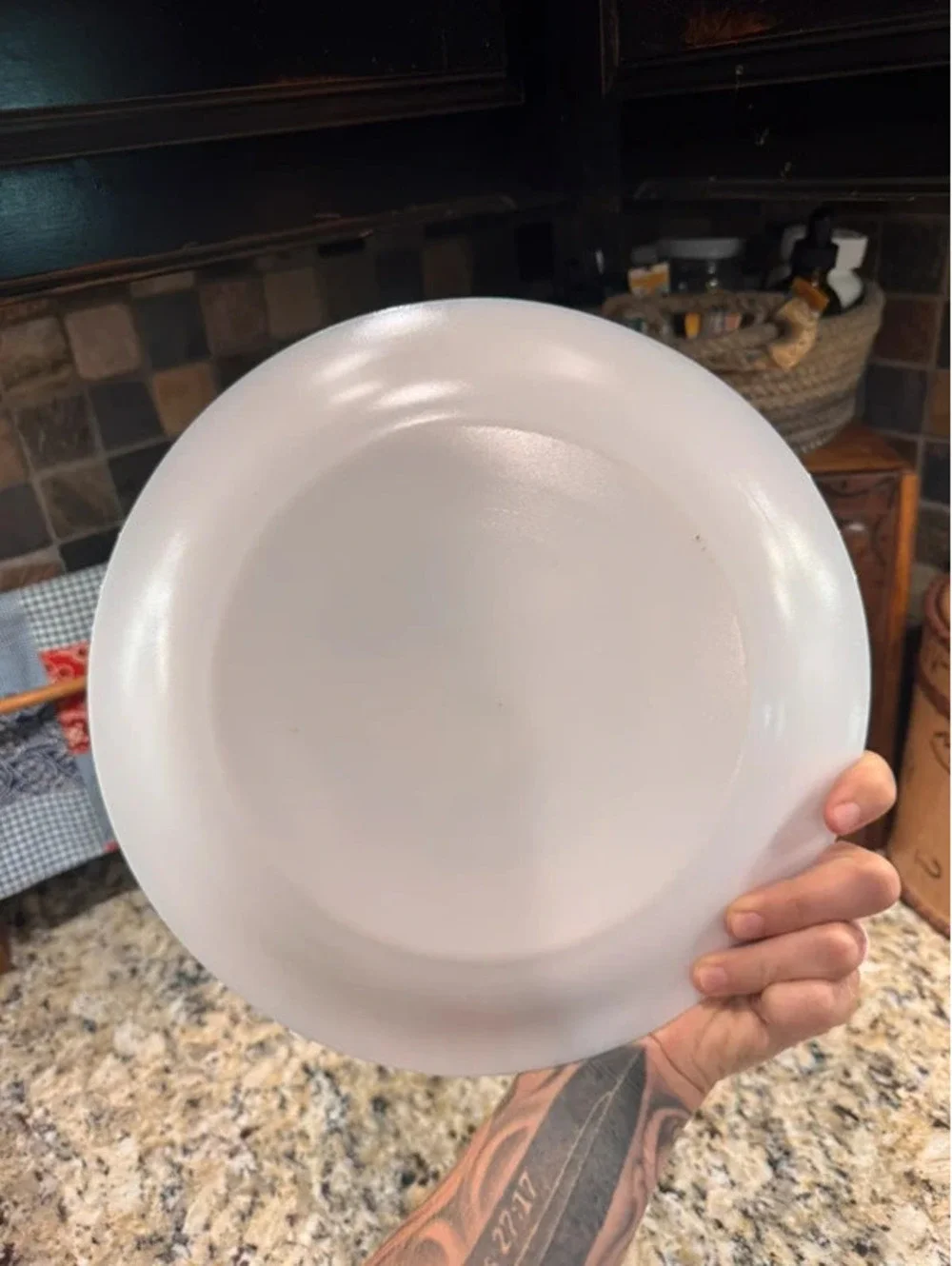 Large Arcopal decorative goose plate